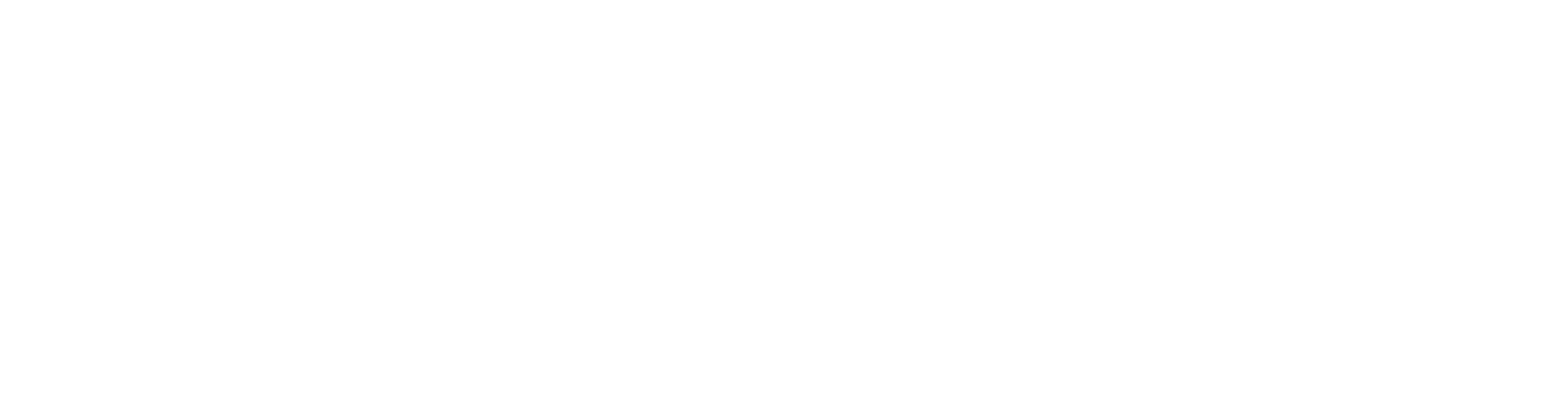 Embrace Grace White Logo